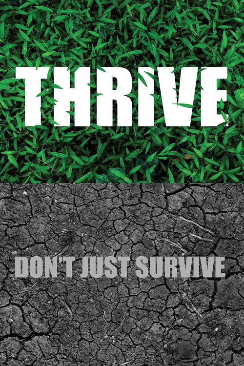 Thrive Don't Just Survive by Adrian Baldovino wall art