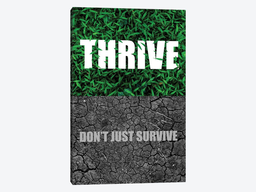 Thrive Don't Just Survive by Adrian Baldovino 1-piece Art Print