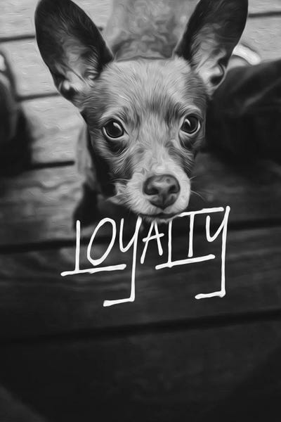 Dog Photography: Dog Loyalty by Adrian Baldovino
