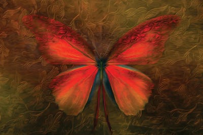 The Butterfly Effect by Adrian Baldovino metal wall art
