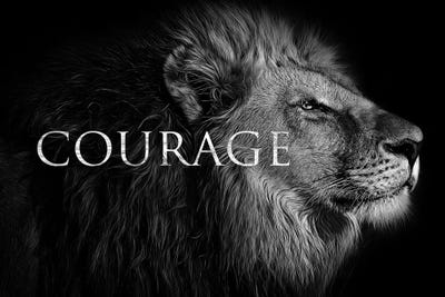 Lion Courage II by Adrian Baldovino metal wall art