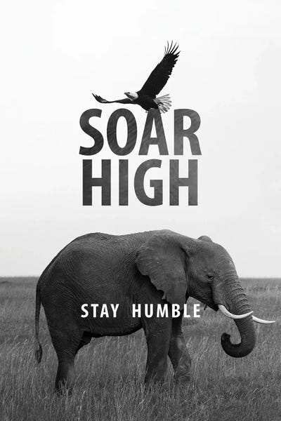 Soar High Stay Humble by Adrian Baldovino framed canvas print