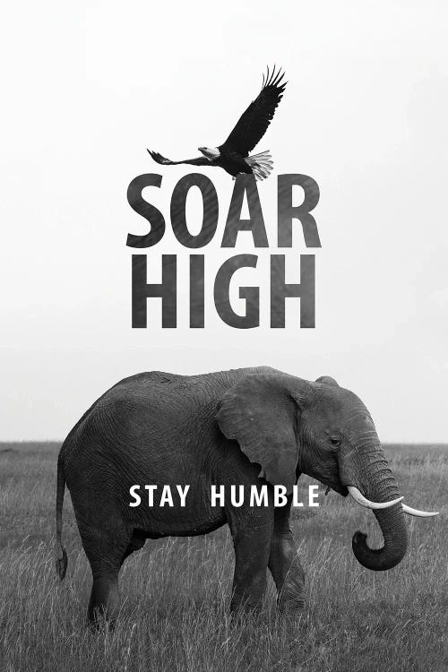 Soar High Stay Humble