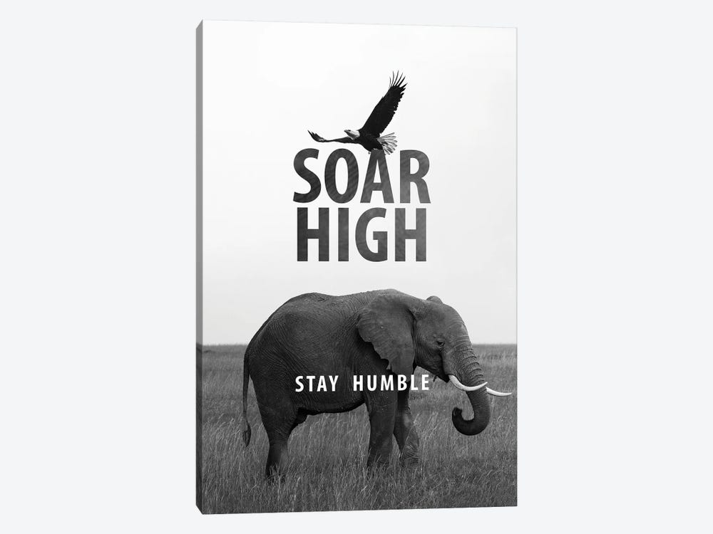 Soar High Stay Humble by Adrian Baldovino 1-piece Canvas Artwork