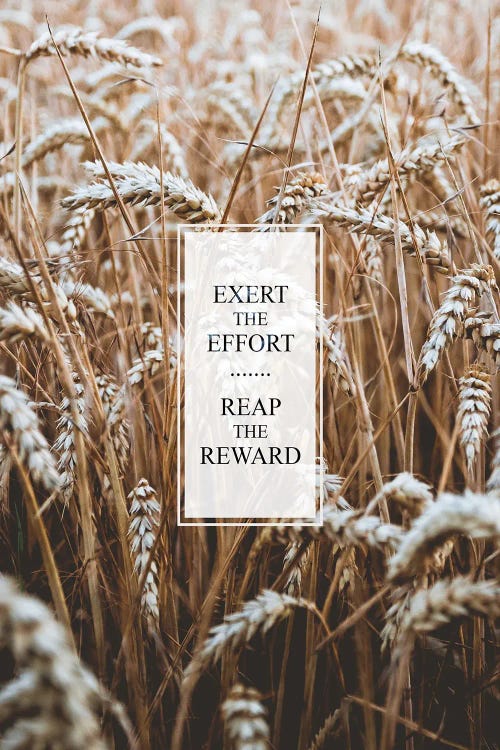 Exert The Effort Reap The Reward