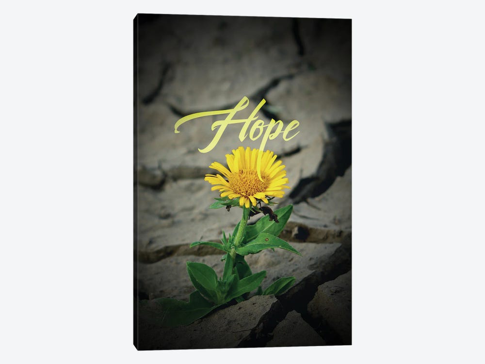 Hope Flower by Adrian Baldovino 1-piece Canvas Art