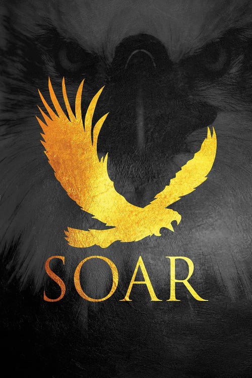 Soar Like An Eagle by Adrian Baldovino wall art