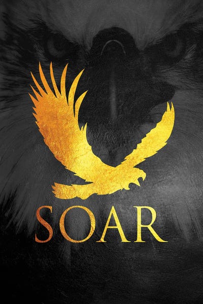Eagles: Soar Like An Eagle by Adrian Baldovino
