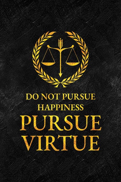 Pursue Virtue by Adrian Baldovino canvas print