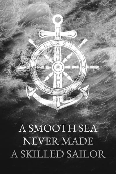 Smooth Sea Skilled Sailor by Adrian Baldovino framed wall art