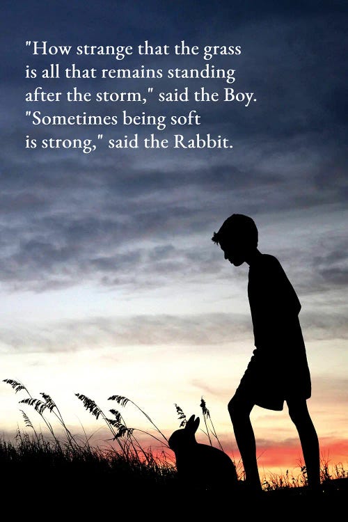 Boy And Rabbit