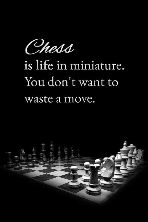 Chess And Life