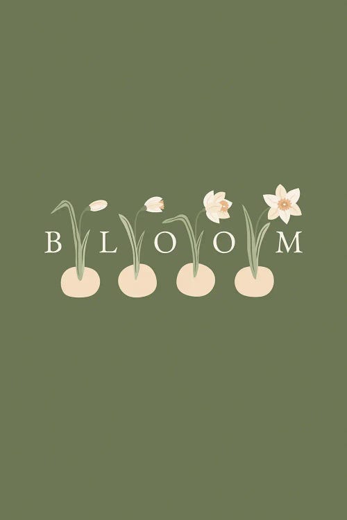 Bloom