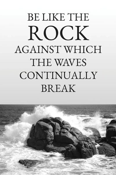 Rock Endurance by Adrian Baldovino canvas print