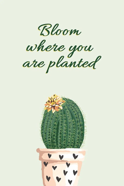 Bloom Where You Are Planted