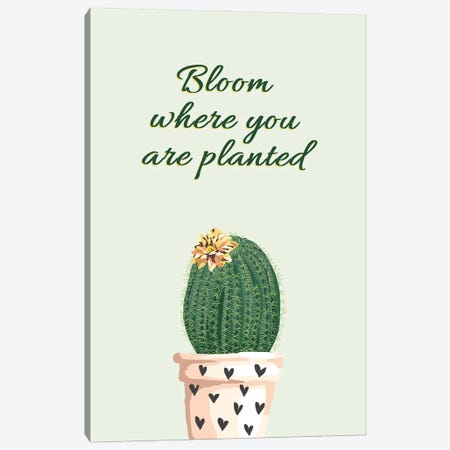 Bloom Where You Are Planted Canvas Print #ABV1354} by Adrian Baldovino Canvas Art