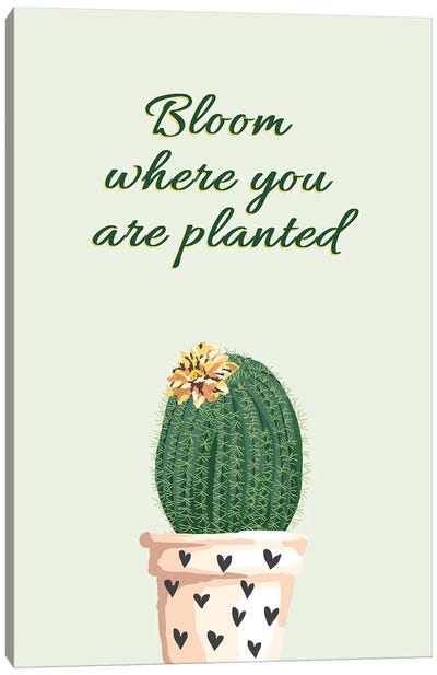 Bloom Where You Are Planted Canvas Art Print - Adrian Baldovino