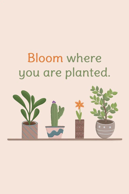 Just Bloom