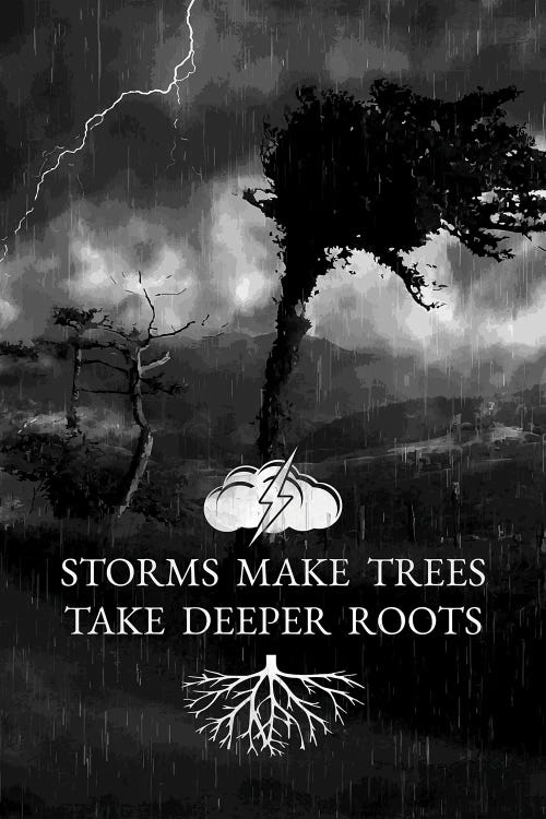 Storms And Trees