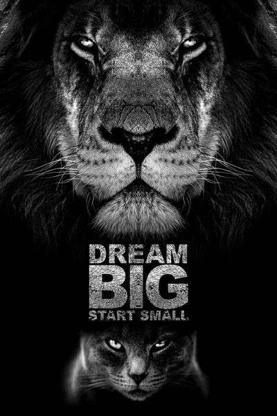 Lions: Dream Big Start Small Motivational Quote by Adrian Baldovino