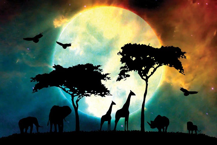 Midnight Safari by Adrian Baldovino wall art