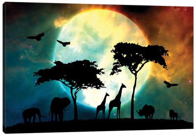 Midnight Safari Canvas Art Print - Giraffe Art