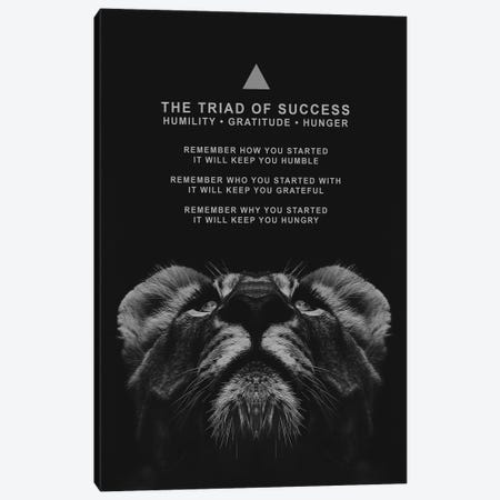 The Triad Of Success Canvas Print #ABV150} by Adrian Baldovino Canvas Print