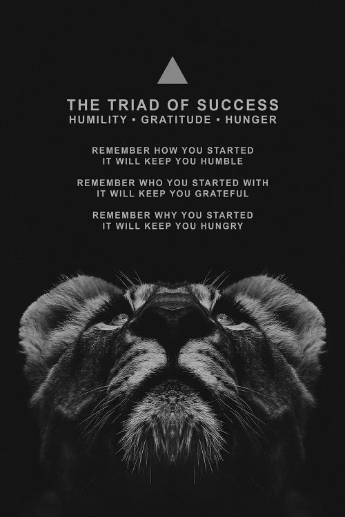 The Triad Of Success