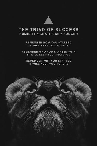 Tigers: The Triad Of Success by Adrian Baldovino