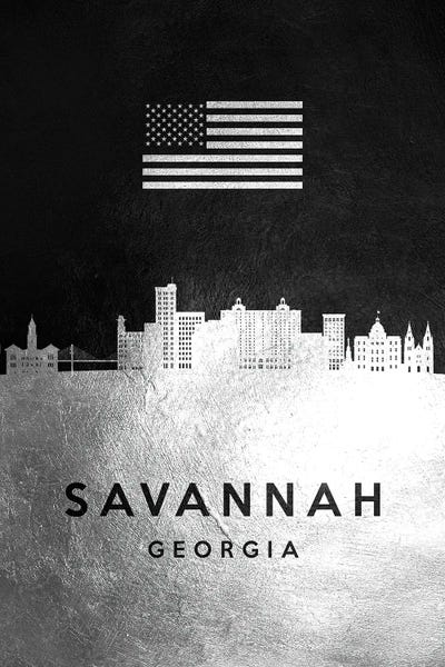 Georgia: Savannah Georgia Silver Skyline by Adrian Baldovino