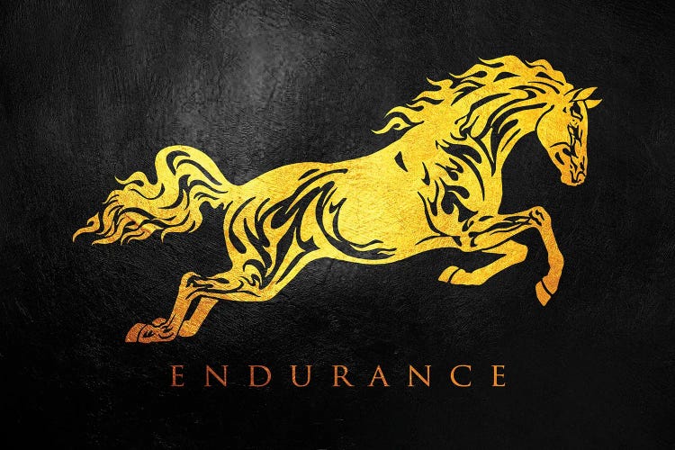 Horse Endurance by Adrian Baldovino wall art
