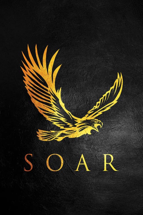 Eagle Soar by Adrian Baldovino wall art