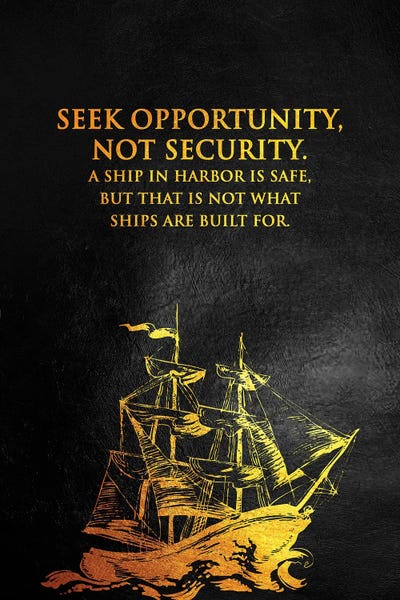 Adventure: Seek Opportunity Not Security by Adrian Baldovino