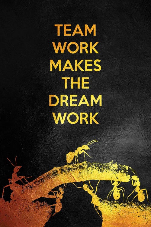 Teamwork by Adrian Baldovino wall art