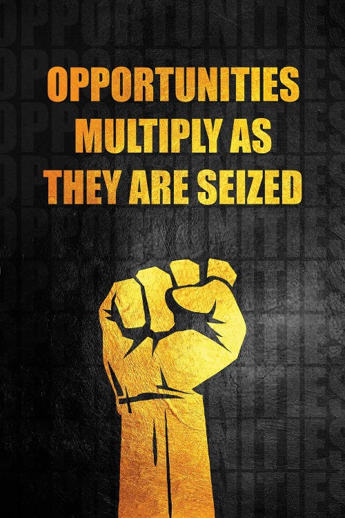 Seize The Opportunity