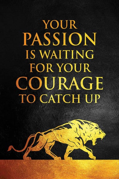 Courage: Passion And Courage by Adrian Baldovino
