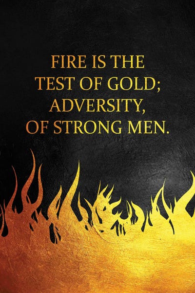 Minimalist Quotes: Fire And Adversity by Adrian Baldovino