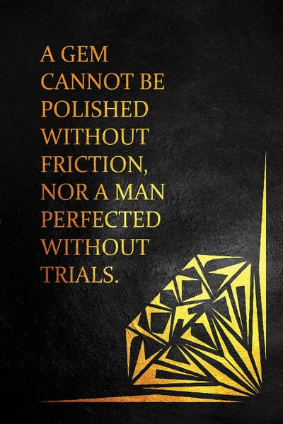 A Polished Gem by Adrian Baldovino canvas print