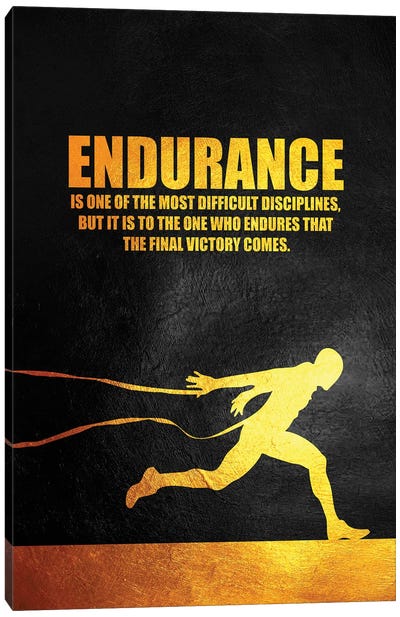Endurance Canvas Art Print - Motivational