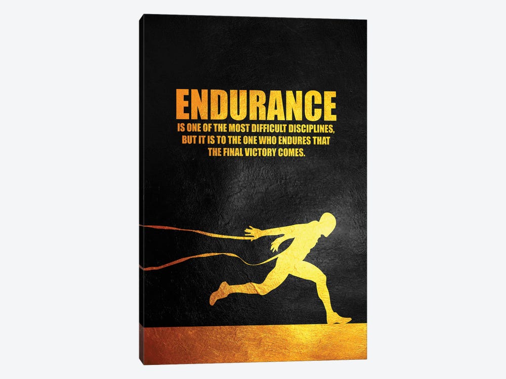 Endurance by Adrian Baldovino 1-piece Canvas Wall Art