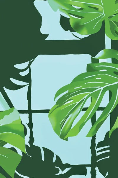 Andrew M Barlow: Cheese Plant Leaves Over Water by Andrew M Barlow
