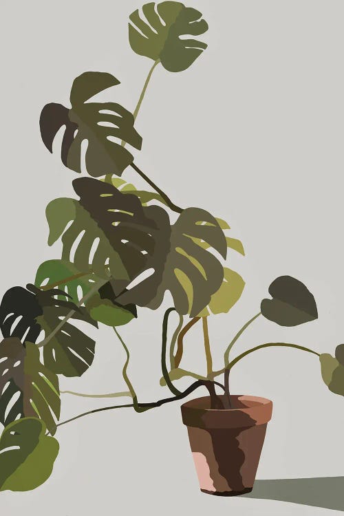 Cheese Plant In Pot by Andrew M Barlow wall art