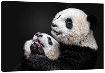 Pandas Canvas Art Print
