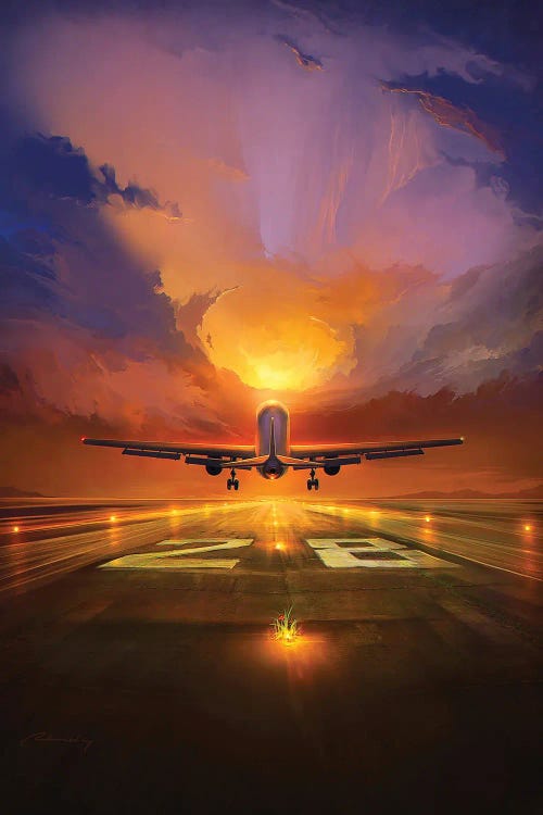 Last Flight by Artem Rhads Chebokha wall art