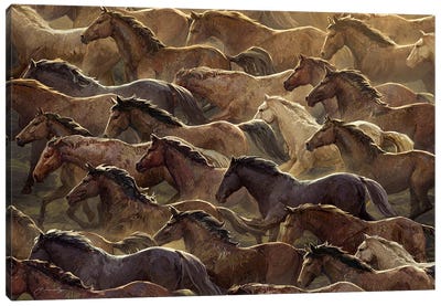 In Motion Horses Canvas Art Print - Brown Art