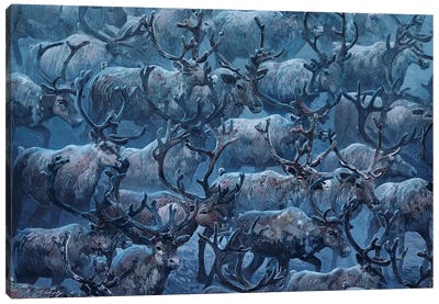 In Motion Reindeers Canvas Art Print - Blue Art