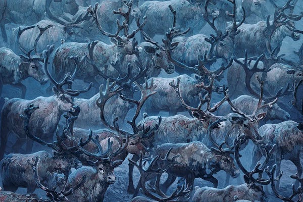Reindeer: In Motion Reindeers by Artem Rhads Chebokha