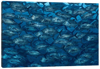 In Motion Fish Canvas Art Print - Artem Rhads Chebokha