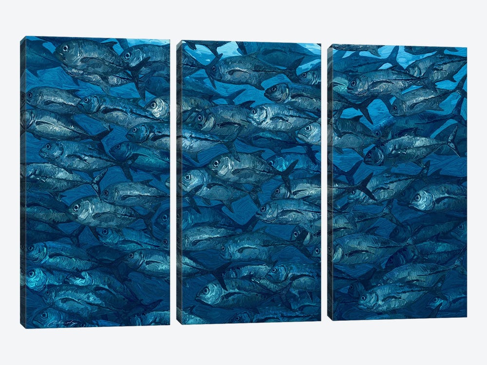In Motion Fish by Artem Rhads Chebokha 3-piece Canvas Artwork