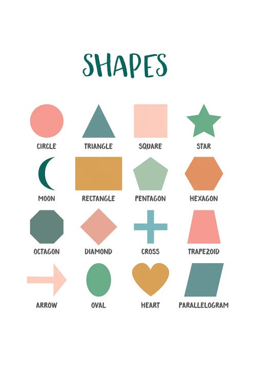 Basic Shapes